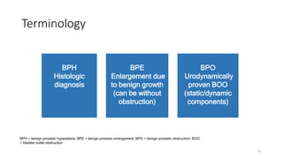 Terminology
11
BPH
Histologic
diagnosis
BPE
Enlargement due
to benign growth
(can be without
obstruction)
BPO
Urodynamically
proven BOO
(static/dynamic
components)
BPH = benign prostatic hyperplasia; BPE = benign prostatic enlargement; BPO = benign prostatic obstruction; BOO
= bladder outlet obstruction
 