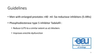 Guidelines
29
• Men with enlarged prostates >40 ml: 5α-reductase inhibitors (5-ARIs)
• Phosphodiesterase type 5 inhibitor Tadalafil :
• Reduce LUTS to a similar extent as α1-blockers
• Improves erectile dysfunction
 