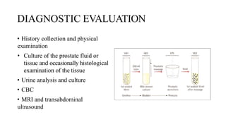 DIAGNOSTIC EVALUATION
• History collection and physical
examination
• Culture of the prostate fluid or
tissue and occasionally histological
examination of the tissue
• Urine analysis and culture
• CBC
• MRI and transabdominal
ultrasound
 