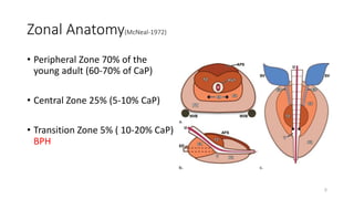Zonal Anatomy(McNeal-1972)
• Peripheral Zone 70% of the
young adult (60-70% of CaP)
• Central Zone 25% (5-10% CaP)
• Transition Zone 5% ( 10-20% CaP)
BPH
5
 