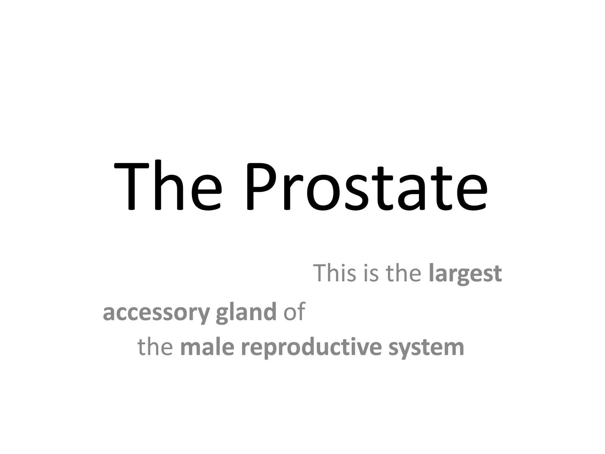 Prostate.pptx