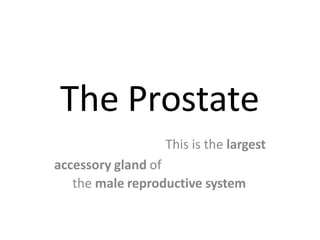 The Prostate
This is the largest
accessory gland of
the male reproductive system
 