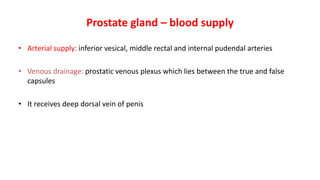 Prostate gland – blood supply
• Arterial supply: inferior vesical, middle rectal and internal pudendal arteries
• Venous drainage: prostatic venous plexus which lies between the true and false
capsules
• It receives deep dorsal vein of penis
 