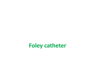 Foley catheter