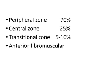 • Peripheral zone 70%
• Central zone 25%
• Transitional zone 5-10%
• Anterior fibromuscular