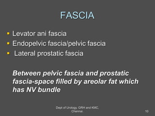 FASCIA
 Levator ani fascia
 Endopelvic fascia/pelvic fascia
 Lateral prostatic fascia
Between pelvic fascia and prostatic
fascia-space filled by areolar fat which
has NV bundle
10
Dept of Urology, GRH and KMC,
Chennai.
 