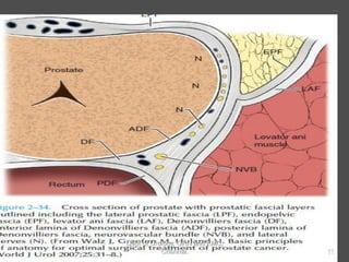 11
Dept of Urology, GRH and KMC,
Chennai.
 