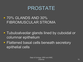 PROSTATE
 70% GLANDS AND 30%
FIBROMUSCULAR STROMA
 Tubuloalveolar glands lined by cuboidal or
columnar epithelium
 Flattened basal cells beneath secretory
epithelial cells
13
Dept of Urology, GRH and KMC,
Chennai.
 