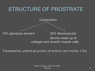 STRUCTURE OF PROSTRATE
Composition
70% glandular element 30% fibromuscular
stroma made up of
collagen and smooth muscle cells
Traversed by urethra at junction of anterior and middle 1/3rd
14
Dept of Urology, GRH and KMC,
Chennai.
 