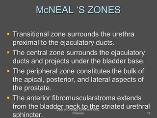 McNEAL ‘S ZONES
 Transitional zone surrounds the urethra
proximal to the ejaculatory ducts.
 The central zone surrounds the ejaculatory
ducts and projects under the bladder base.
 The peripheral zone constitutes the bulk of
the apical, posterior, and lateral aspects of
the prostate.
 The anterior fibromuscularstroma extends
from the bladder neck to the striated urethral
sphincter. 18
Dept of Urology, GRH and KMC,
Chennai.
 