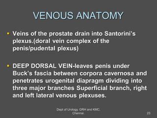 VENOUS ANATOMY
 Veins of the prostate drain into Santorini’s
plexus.(doral vein complex of the
penis/pudental plexus)
 DEEP DORSAL VEIN-leaves penis under
Buck’s fascia between corpora cavernosa and
penetrates urogenital diapragm dividing into
three major branches Superficial branch, right
and left lateral venous plexuses.
23
Dept of Urology, GRH and KMC,
Chennai.
 