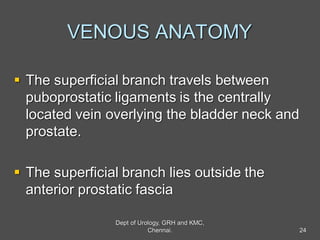 VENOUS ANATOMY
 The superficial branch travels between
puboprostatic ligaments is the centrally
located vein overlying the bladder neck and
prostate.
 The superficial branch lies outside the
anterior prostatic fascia
24
Dept of Urology, GRH and KMC,
Chennai.
 