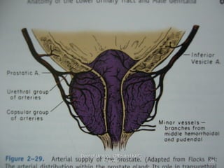 35
Dept of Urology, GRH and KMC,
Chennai.
 