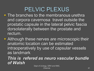 PELVIC PLEXUS
 The branches to the membranous urethra
and carpora cavernosa travel outside the
prostatic capsule in the lateral pelvic fascia
dorsolaterally between the prostate and
rectum.
 Although these nerves are microscopic their
anatomic location can be estimated
intraoperatively by use of capsular vessels
as landmark
This is refered as neuro vascular bundle
of Walsh
41
Dept of Urology, GRH and KMC,
Chennai.
 