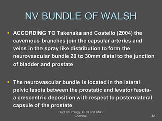NV BUNDLE OF WALSH
 ACCORDING TO Takenaka and Costello (2004) the
cavernous branches join the capsular arteries and
veins in the spray like distribution to form the
neurovascular bundle 20 to 30mm distal to the junction
of bladder and prostate
 The neurovascular bundle is located in the lateral
pelvic fascia between the prostatic and levator fascia-
a crescentric deposition with respect to posterolateral
capsule of the prostate
42
Dept of Urology, GRH and KMC,
Chennai.
 