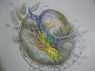 43
Dept of Urology, GRH and KMC,
Chennai.
 