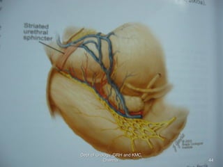 44
Dept of Urology, GRH and KMC,
Chennai.
 
