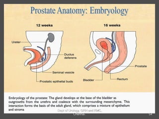 54
Dept of Urology, GRH and KMC,
Chennai.
 