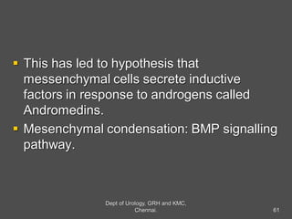 This has led to hypothesis that
messenchymal cells secrete inductive
factors in response to androgens called
Andromedins.
 Mesenchymal condensation: BMP signalling
pathway.
61
Dept of Urology, GRH and KMC,
Chennai.
 