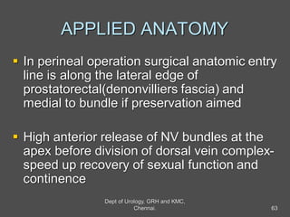 APPLIED ANATOMY
 In perineal operation surgical anatomic entry
line is along the lateral edge of
prostatorectal(denonvilliers fascia) and
medial to bundle if preservation aimed
 High anterior release of NV bundles at the
apex before division of dorsal vein complex-
speed up recovery of sexual function and
continence
63
Dept of Urology, GRH and KMC,
Chennai.
 