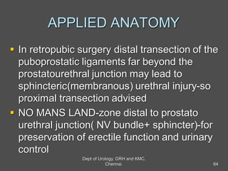 APPLIED ANATOMY
 In retropubic surgery distal transection of the
puboprostatic ligaments far beyond the
prostatourethral junction may lead to
sphincteric(membranous) urethral injury-so
proximal transection advised
 NO MANS LAND-zone distal to prostato
urethral junction( NV bundle+ sphincter)-for
preservation of erectile function and urinary
control
64
Dept of Urology, GRH and KMC,
Chennai.
 
