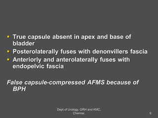  True capsule absent in apex and base of
bladder
 Posterolaterally fuses with denonvillers fascia
 Anteriorly and anterolaterally fuses with
endopelvic fascia
False capsule-compressed AFMS because of
BPH
9
Dept of Urology, GRH and KMC,
Chennai.
 