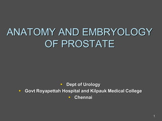 ANATOMY AND EMBRYOLOGY
OF PROSTATE
 Dept of Urology
 Govt Royapettah Hospital and Kilpauk Medical College
 Chennai
1
 