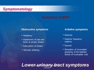 Prostate BPH- evaluation & management | PDF