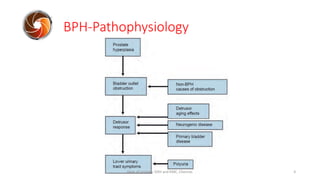 BPH-Pathophysiology
4
Dept of Urology, GRH and KMC, Chennai.
 