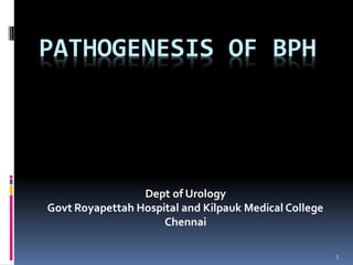 PATHOGENESIS OF BPH
Dept of Urology
Govt Royapettah Hospital and Kilpauk Medical College
Chennai
1
 