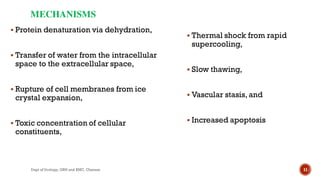MECHANISMS
 Protein denaturation via dehydration,
 Transfer of water from the intracellular
space to the extracellular space,
 Rupture of cell membranes from ice
crystal expansion,
 Toxic concentration of cellular
constituents,
 Thermal shock from rapid
supercooling,
 Slow thawing,
 Vascular stasis, and
 Increased apoptosis
11
Dept of Urology, GRH and KMC, Chennai.
 