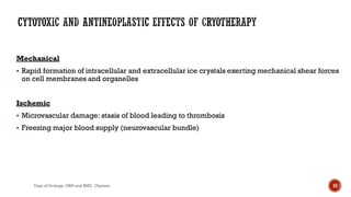 Mechanical
 Rapid formation of intracellular and extracellular ice crystals exerting mechanical shear forces
on cell membranes and organelles
Ischemic
 Microvascular damage: stasis of blood leading to thrombosis
 Freezing major blood supply (neurovascular bundle)
12
Dept of Urology, GRH and KMC, Chennai.
 