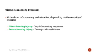 Tissue Response to Freezing:
 Varies from inflammatory to destructive,depending on the severity of
freezing
 Minor freezing injury - Only inflammatory responses
 Severe freezing injury - Destroys cells and tissues
14
Dept of Urology, GRH and KMC, Chennai.
 