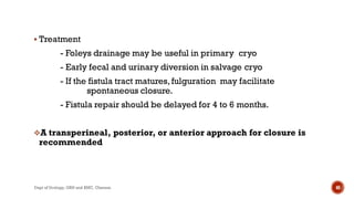  Treatment
- Foleys drainage may be useful in primary cryo
- Early fecal and urinary diversion in salvage cryo
- If the fistula tract matures,fulguration may facilitate
spontaneous closure.
- Fistula repair should be delayed for 4 to 6 months.
A transperineal, posterior, or anterior approach for closure is
recommended
40
Dept of Urology, GRH and KMC, Chennai.
 
