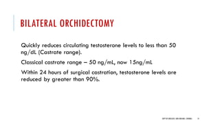 BILATERAL ORCHIDECTOMY
Quickly reduces circulating testosterone levels to less than 50
ng/dL (Castrate range).
Classical castrate range – 50 ng/mL, now 15ng/mL
Within 24 hours of surgical castration, testosterone levels are
reduced by greater than 90%.
14
DEPT OF UROLOGY,GRH ANDKMC,CHENNAI.
 