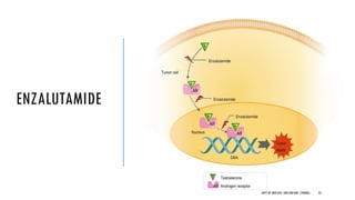 ENZALUTAMIDE
23
DEPT OF UROLOGY,GRH ANDKMC,CHENNAI.
 