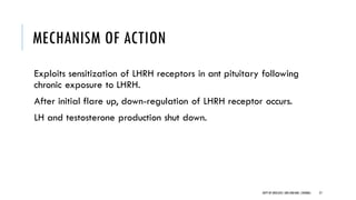 MECHANISM OF ACTION
Exploits sensitization of LHRH receptors in ant pituitary following
chronic exposure to LHRH.
After initial flare up, down-regulation of LHRH receptor occurs.
LH and testosterone production shut down.
27
DEPT OF UROLOGY,GRH ANDKMC,CHENNAI.
 