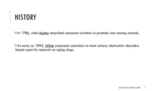 HISTORY
In 1786, when Hunter described seasonal variation in prostate size among animals.
As early as 1893, White proposed castration to treat urinary obstruction disorders
based upon his research on aging dogs.
3
DEPT OF UROLOGY,GRH ANDKMC,CHENNAI.
 