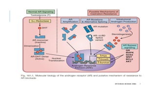 7
DEPT OF UROLOGY,GRH ANDKMC,CHENNAI.
 