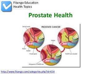 http://www.fitango.com/categories.php?id=614
Fitango Education
Health Topics
Prostate Health
 