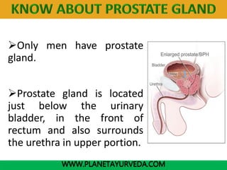www.Planetayurveda.com
Only men have prostate
gland.
Prostate gland is located
just below the urinary
bladder, in the front of
rectum and also surrounds
the urethra in upper portion.
WWW.PLANETAYURVEDA.COM
 