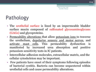 Pathology
• The urothelial surface is lined by an impermeable bladder
surface mucin composed of sulfonated glycosaminoglycans
(GAGs) and glycoproteins.
• Permeability alterations that allow potassium ions to traverse
the urothelium, depolarize sensory and motor nerves, and
activate mast cells. This permeability dysfunction is
manifested by increased urea absorption and positive
potassium sensitivity tests in IC patients.
• Intercellular adhesion molecules, extracellular matrix, and the
cellular cytoskeleton may be important.
• Few patients have onset of their symptoms following episodes
of bacterial cystitis. Bacteria can become sequestered within
urothelial cells and cause permeability alterations.
104
Dept of Urology, GRH
and KMC, Chennai.
 