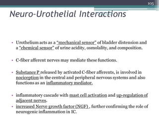 Neuro–Urothelial Interactions
• Urothelium acts as a “mechanical sensor" of bladder distension and
a “chemical sensor" of urine acidity, osmolality, and composition.
• C-fiber afferent nerves may mediate these functions.
• Substance P released by activated C-fiber afferents, is involved in
nociception in the central and peripheral nervous systems and also
functions as an inflammatory mediator.
• inflammatory cascade with mast cell activation and up-regulation of
adjacent nerves.
• increased Nerve growth factor (NGF) , further confirming the role of
neurogenic inflammation in IC.
105
Dept of Urology, GRH
and KMC, Chennai.
 