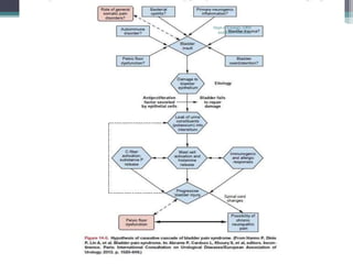 Dept of Urology, GRH
and KMC, Chennai.
 