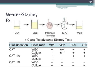 Meares-Stamey
four-glass test
37
Dept of Urology, GRH
and KMC, Chennai.
 