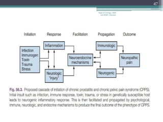 47
Dept of Urology, GRH
and KMC, Chennai.
 