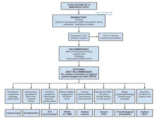 Dept of Urology, GRH
and KMC, Chennai.
 