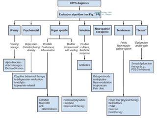 Dept of Urology, GRH
and KMC, Chennai.
 