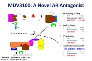 Ligand
1. AR Binding Affinity
• DHT ~ 5nM
• Bicalutamide ~160 nM
• MDV3100 ~35 nM
2. Nuclear Import
• DHT: ++++
• Bicalutamide: ++++
• MDV3100: ++
3. DNA Binding
• DHT: ++++
• Bicalutamide: ++
• MDV3100: -
4. Coactivator recruitment:
No agonist effects.
• DHT: ++++
• Bicalutamide: ++
• MDV3100: -
MDV3100: A Novel AR Antagonist
1
2
3
4
DNA
POL II
HSP90
LBD
HD
DBD
NTD
Chen et al. Lancet Oncol 10:981, 2009
Tran et al., Science 324:787, 2010.
 