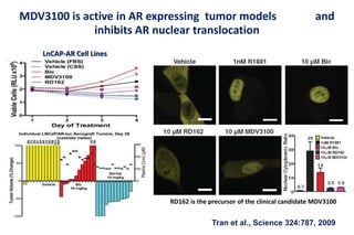 MDV3100 is active in AR expressing tumor models and
inhibits AR nuclear translocation
Tran et al., Science 324:787, 2009
LnCAP-AR Cell Lines
RD162 is the precursor of the clinical candidate MDV3100
 